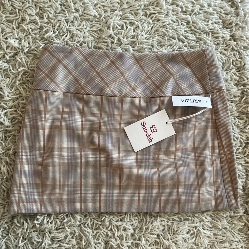 Aritzia Sunday Best Mini Skirt